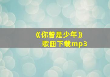 《你曾是少年》歌曲下载mp3