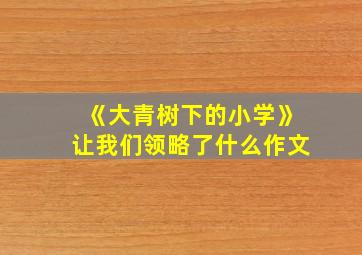 《大青树下的小学》让我们领略了什么作文