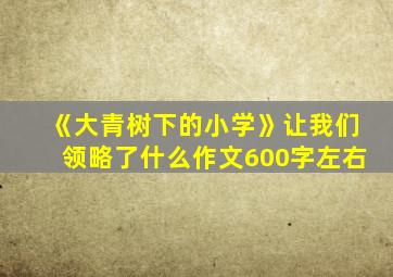 《大青树下的小学》让我们领略了什么作文600字左右