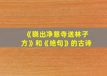 《晓出净慈寺送林子方》和《绝句》的古诗