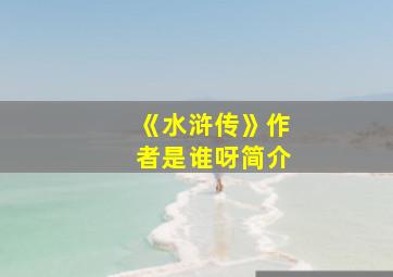 《水浒传》作者是谁呀简介