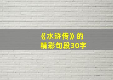 《水浒传》的精彩句段30字