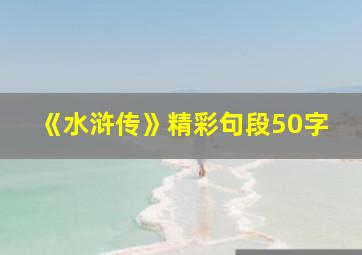 《水浒传》精彩句段50字