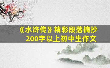 《水浒传》精彩段落摘抄200字以上初中生作文