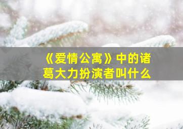 《爱情公寓》中的诸葛大力扮演者叫什么