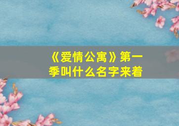 《爱情公寓》第一季叫什么名字来着