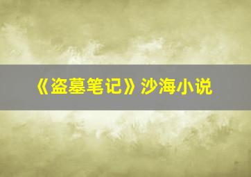 《盗墓笔记》沙海小说