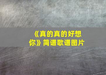 《真的真的好想你》简谱歌谱图片