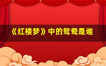 《红楼梦》中的鸳鸯是谁