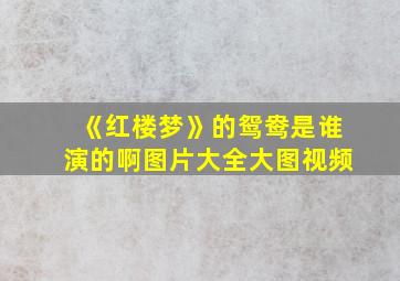 《红楼梦》的鸳鸯是谁演的啊图片大全大图视频