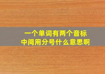 一个单词有两个音标中间用分号什么意思啊