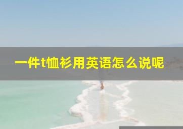 一件t恤衫用英语怎么说呢