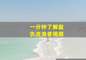 一分钟了解复仇流浪者视频