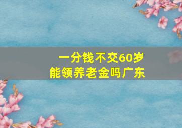 一分钱不交60岁能领养老金吗广东