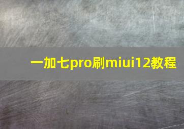 一加七pro刷miui12教程