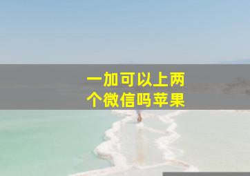 一加可以上两个微信吗苹果