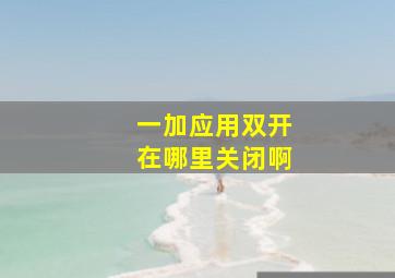 一加应用双开在哪里关闭啊