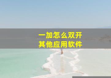 一加怎么双开其他应用软件