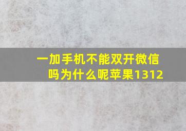 一加手机不能双开微信吗为什么呢苹果1312