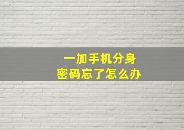 一加手机分身密码忘了怎么办