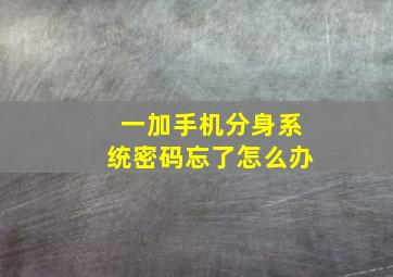 一加手机分身系统密码忘了怎么办