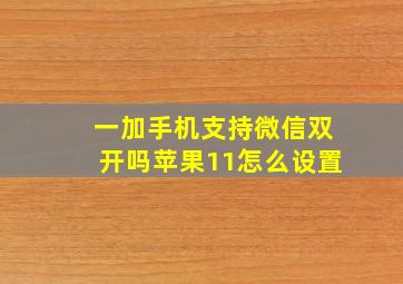 一加手机支持微信双开吗苹果11怎么设置