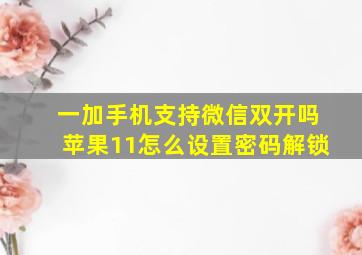 一加手机支持微信双开吗苹果11怎么设置密码解锁