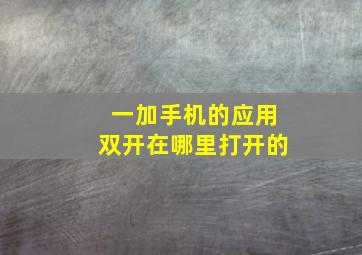 一加手机的应用双开在哪里打开的