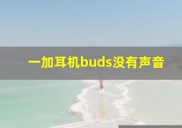 一加耳机buds没有声音