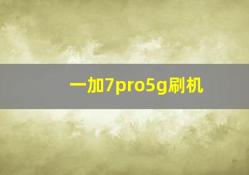 一加7pro5g刷机