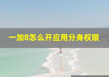 一加8怎么开应用分身权限