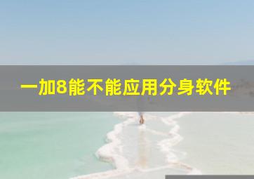 一加8能不能应用分身软件