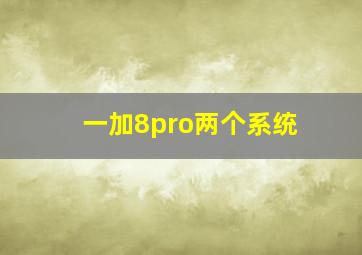 一加8pro两个系统