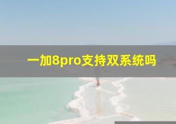 一加8pro支持双系统吗