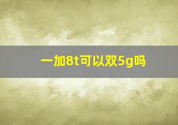 一加8t可以双5g吗