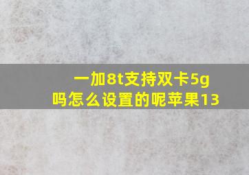 一加8t支持双卡5g吗怎么设置的呢苹果13