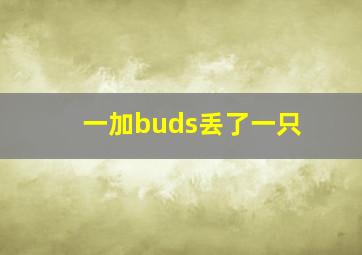 一加buds丢了一只