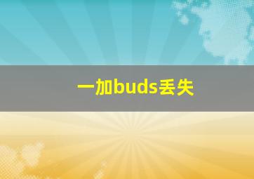 一加buds丢失