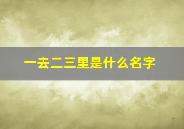 一去二三里是什么名字