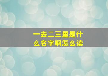 一去二三里是什么名字啊怎么读