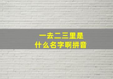 一去二三里是什么名字啊拼音