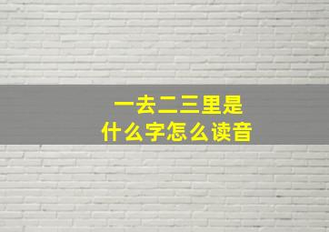 一去二三里是什么字怎么读音