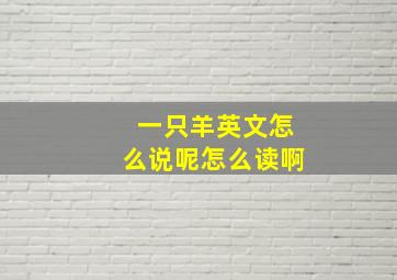 一只羊英文怎么说呢怎么读啊