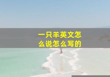 一只羊英文怎么说怎么写的