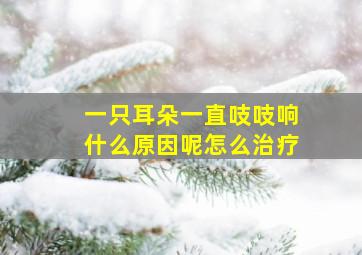 一只耳朵一直吱吱响什么原因呢怎么治疗