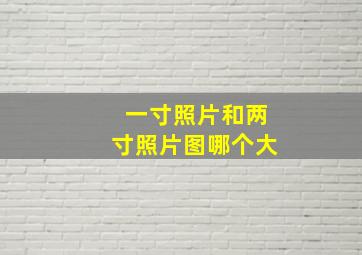 一寸照片和两寸照片图哪个大