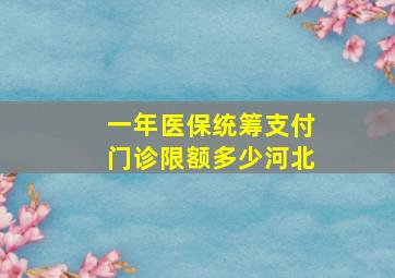 一年医保统筹支付门诊限额多少河北