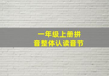 一年级上册拼音整体认读音节