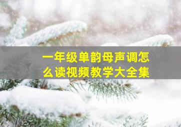 一年级单韵母声调怎么读视频教学大全集