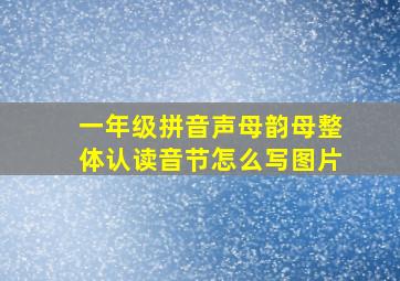 一年级拼音声母韵母整体认读音节怎么写图片